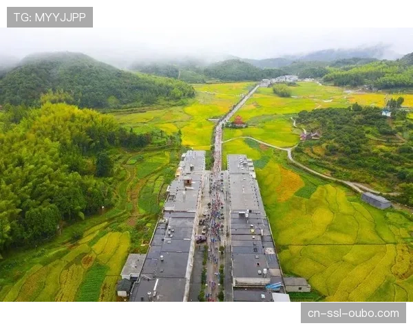 县域品牌赛事兴起 形成特色化发展路径